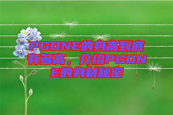 PGONE的身高到底有多高，介紹PGONE的身材秘密