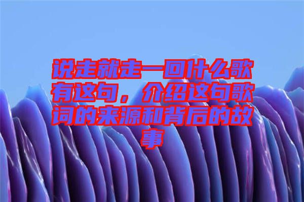 說走就走一回什么歌有這句，介紹這句歌詞的來源和背后的故事
