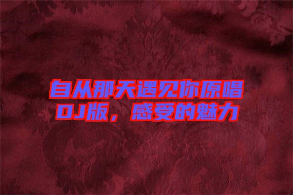 自從那天遇見你原唱DJ版，感受的魅力
