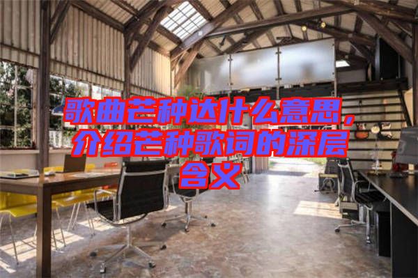 歌曲芒種達什么意思，介紹芒種歌詞的深層含義