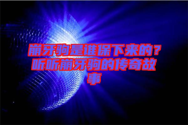 崩牙駒是誰保下來的？聽聽崩牙駒的傳奇故事