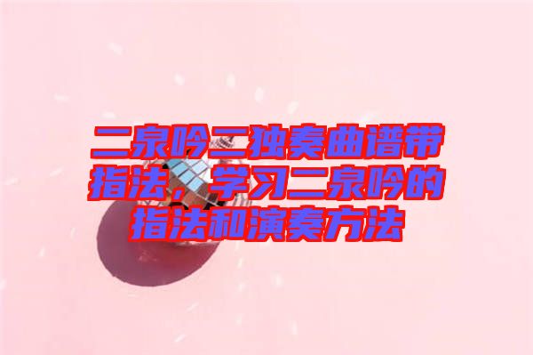 二泉吟二獨(dú)奏曲譜帶指法，學(xué)習(xí)二泉吟的指法和演奏方法