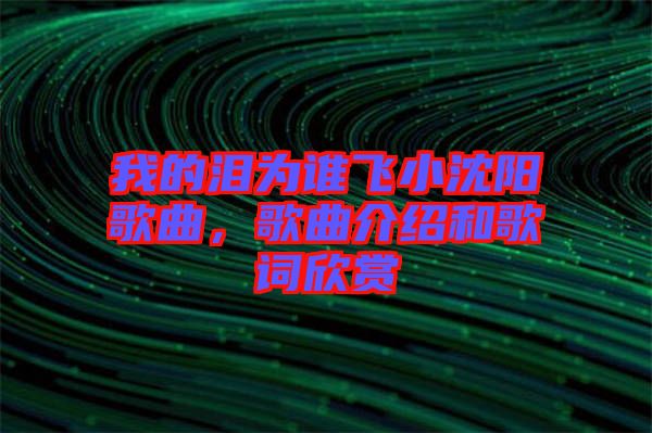 我的淚為誰飛小沈陽歌曲，歌曲介紹和歌詞欣賞