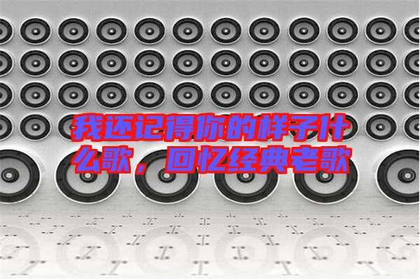 我還記得你的樣子什么歌，回憶經(jīng)典老歌