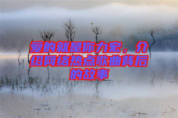 愛的就是你力宏，介紹網絡熱點歌曲背后的故事