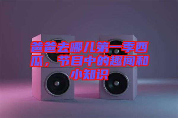 爸爸去哪兒第一季西瓜，節(jié)目中的趣聞和小知識(shí)