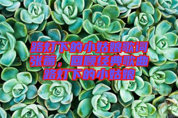 路燈下的小姑娘歌詞張薔，回顧經(jīng)典歌曲路燈下的小姑娘