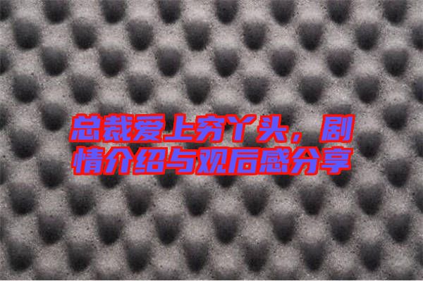 總裁愛上窮丫頭，劇情介紹與觀后感分享