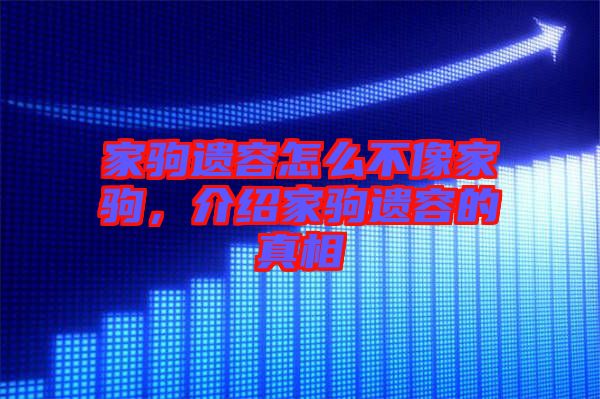 家駒遺容怎么不像家駒，介紹家駒遺容的真相