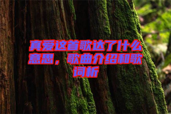 真愛這首歌達(dá)了什么意思，歌曲介紹和歌詞析