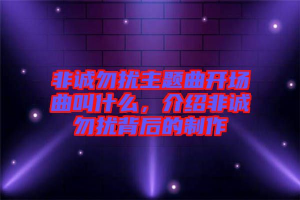 非誠勿擾主題曲開場曲叫什么，介紹非誠勿擾背后的制作