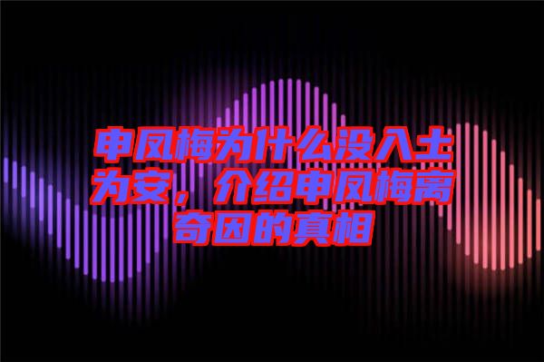 申鳳梅為什么沒入土為安，介紹申鳳梅離奇因的真相