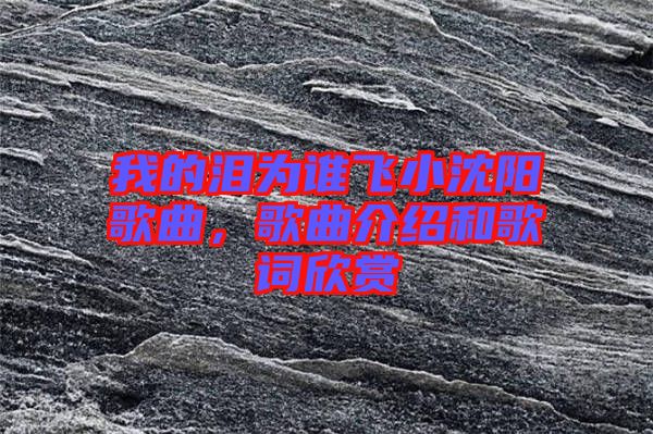 我的淚為誰(shuí)飛小沈陽(yáng)歌曲，歌曲介紹和歌詞欣賞
