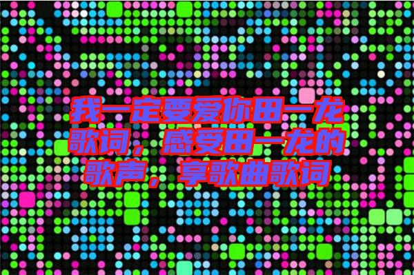 我一定要愛你田一龍歌詞，感受田一龍的歌聲，享歌曲歌詞