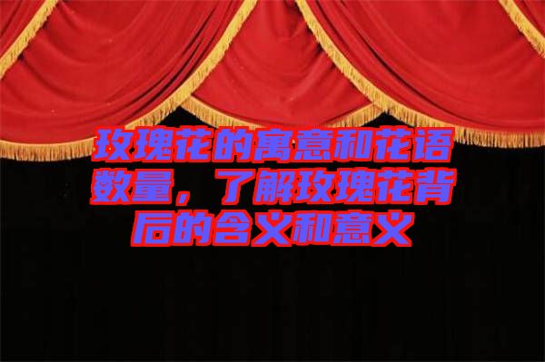 玫瑰花的寓意和花語數(shù)量，了解玫瑰花背后的含義和意義