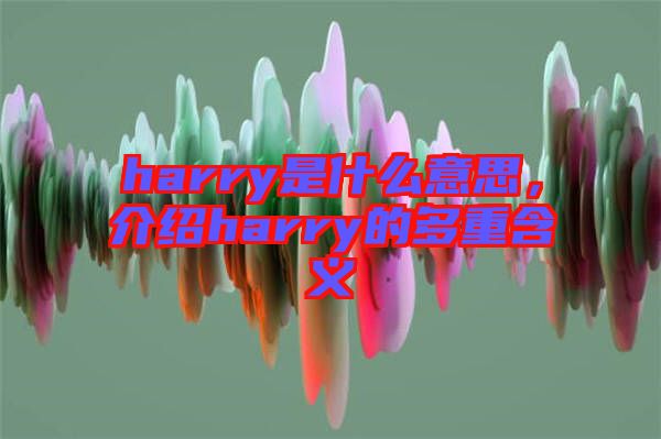 harry是什么意思，介紹harry的多重含義