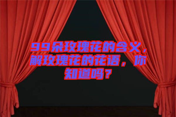 99朵玫瑰花的含義，解玫瑰花的花語，你知道嗎？