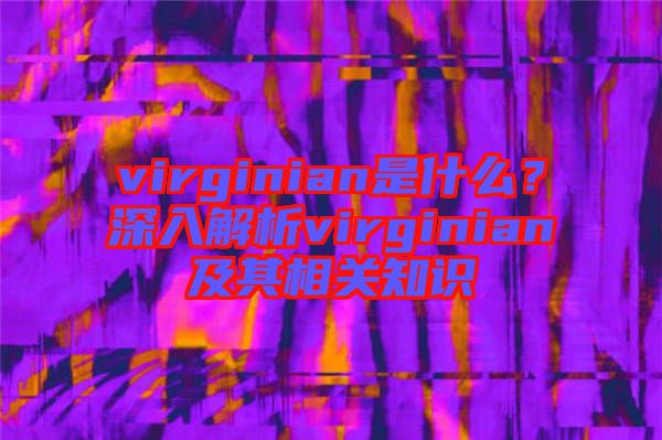 virginian是什么？深入解析virginian及其相關知識