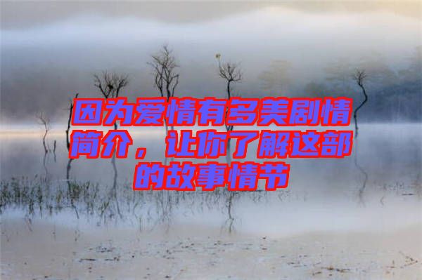 因?yàn)閻?ài)情有多美劇情簡(jiǎn)介，讓你了解這部的故事情節(jié)