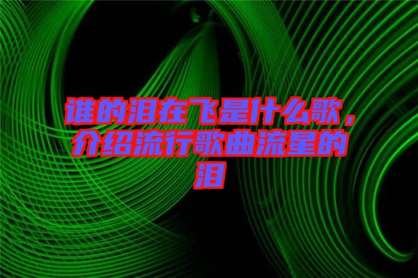 誰的淚在飛是什么歌，介紹流行歌曲流星的淚