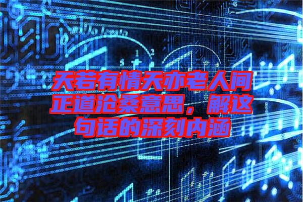 天若有情天亦老人間正道滄桑意思，解這句話的深刻內(nèi)涵