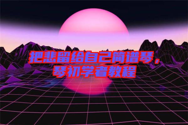 把悲留給自己簡譜琴，琴初學(xué)者教程