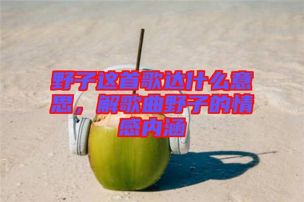 野子這首歌達(dá)什么意思，解歌曲野子的情感內(nèi)涵