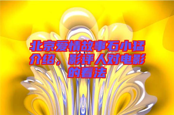 北京愛情故事石小猛介紹，影評人對電影的看法