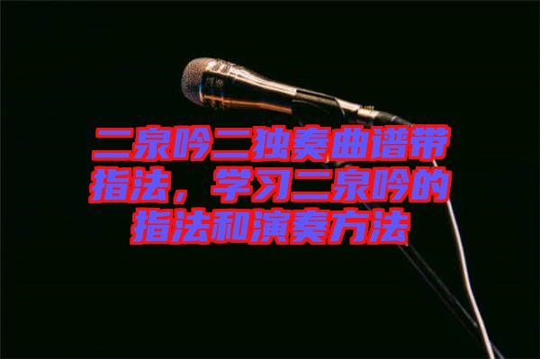二泉吟二獨奏曲譜帶指法，學(xué)習(xí)二泉吟的指法和演奏方法