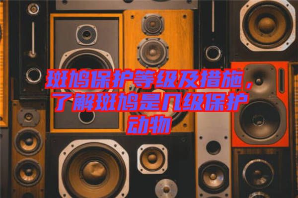 斑鳩保護等級及措施，了解斑鳩是幾級保護動物