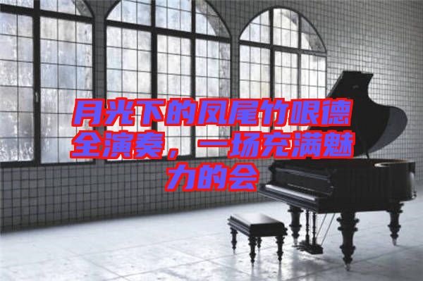 月光下的鳳尾竹哏德全演奏，一場(chǎng)充滿(mǎn)魅力的會(huì)