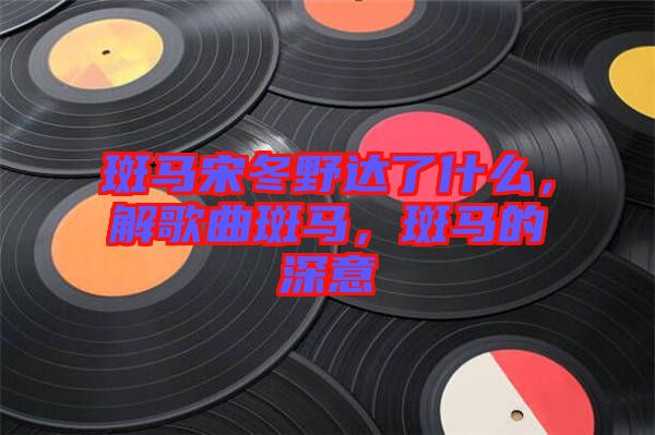 斑馬宋冬野達(dá)了什么，解歌曲斑馬，斑馬的深意