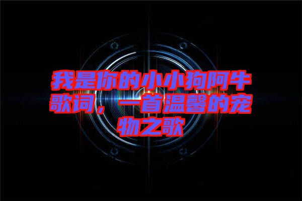 我是你的小小狗阿牛歌詞，一首溫馨的寵物之歌