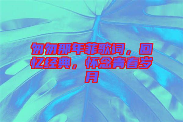 匆匆那年菲歌詞，回憶經(jīng)典，懷念青春歲月