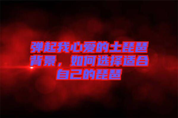 彈起我心愛的土琵琶背景，如何選擇適合自己的琵琶