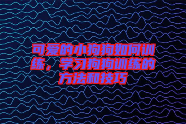 可愛的小狗狗如何訓練，學習狗狗訓練的方法和技巧