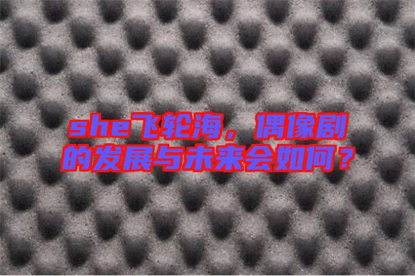 she飛輪海，偶像劇的發(fā)展與未來會如何？