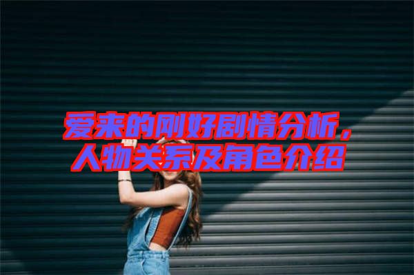愛來的剛好劇情分析，人物關系及角色介紹