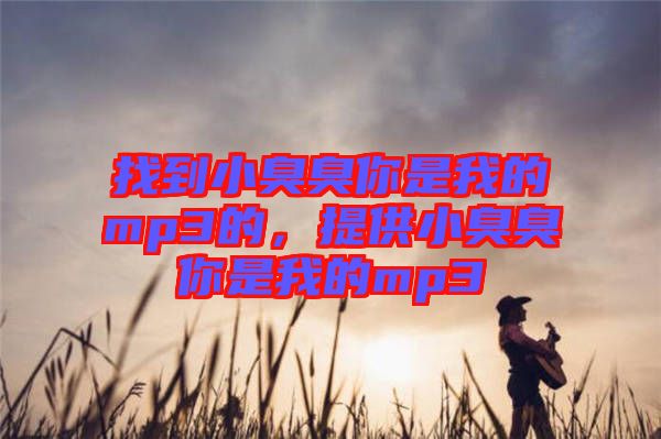 找到小臭臭你是我的mp3的，提供小臭臭你是我的mp3