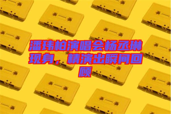 潘瑋柏演唱會楊丞琳現(xiàn)身，精演出瞬間回顧