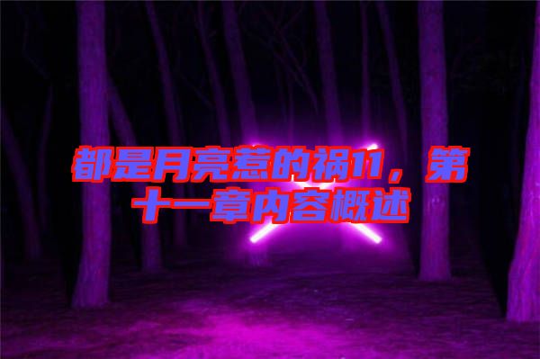 都是月亮惹的禍11，第十一章內(nèi)容概述