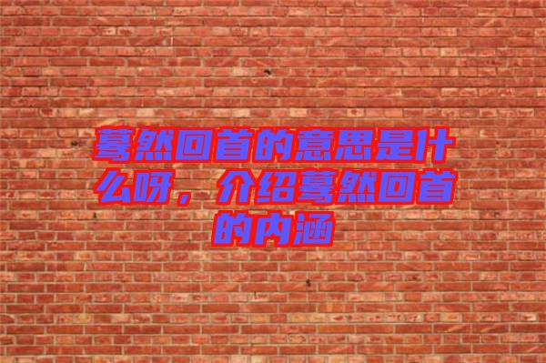 驀然回首的意思是什么呀，介紹驀然回首的內(nèi)涵