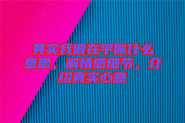 其實我很在乎你什么意思，解情感細節(jié)，介紹真實心意