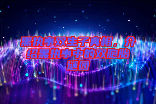 黑執(zhí)事雙生子真相，介紹黑執(zhí)事中的雙胞胎謎團
