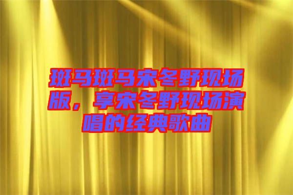 斑馬斑馬宋冬野現(xiàn)場版，享宋冬野現(xiàn)場演唱的經(jīng)典歌曲