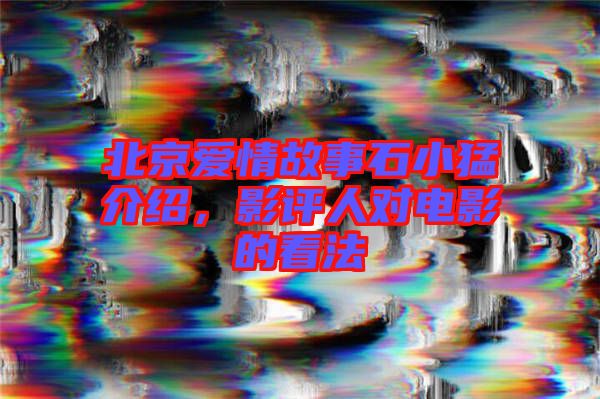 北京愛情故事石小猛介紹，影評人對電影的看法