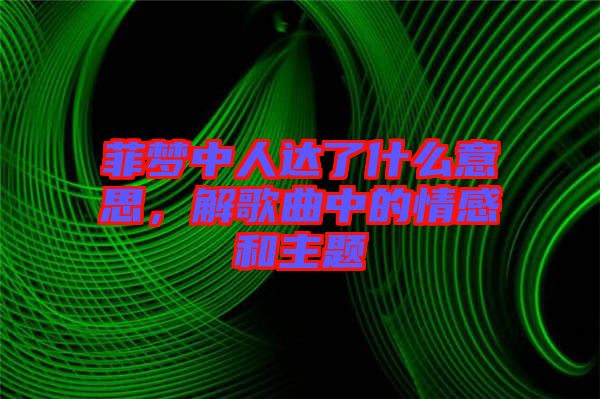 菲夢中人達(dá)了什么意思，解歌曲中的情感和主題