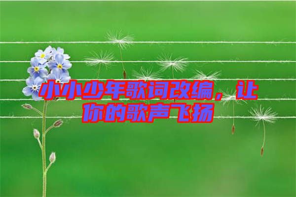 小小少年歌詞改編，讓你的歌聲飛揚(yáng)
