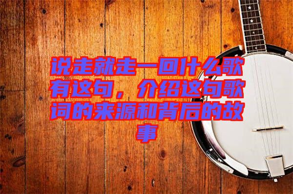 說走就走一回什么歌有這句，介紹這句歌詞的來源和背后的故事