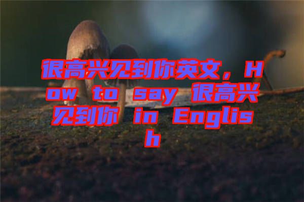 很高興見到你英文，How to say 很高興見到你 in English